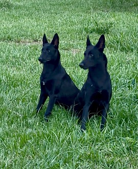 Mom and daughter